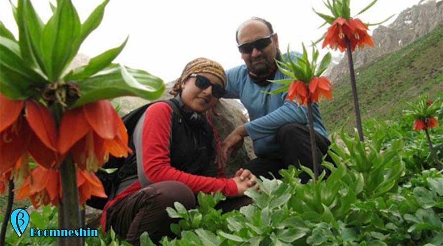 لاله واژگون | گل افسانه ای ایران