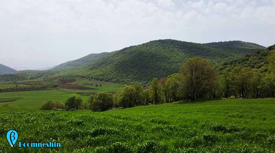 جنگل نای انگیز، بهشت واقعی استان لرستان
