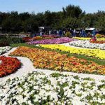 باغ گل های اصفهان | بازدید از باغ گل های اصفهان